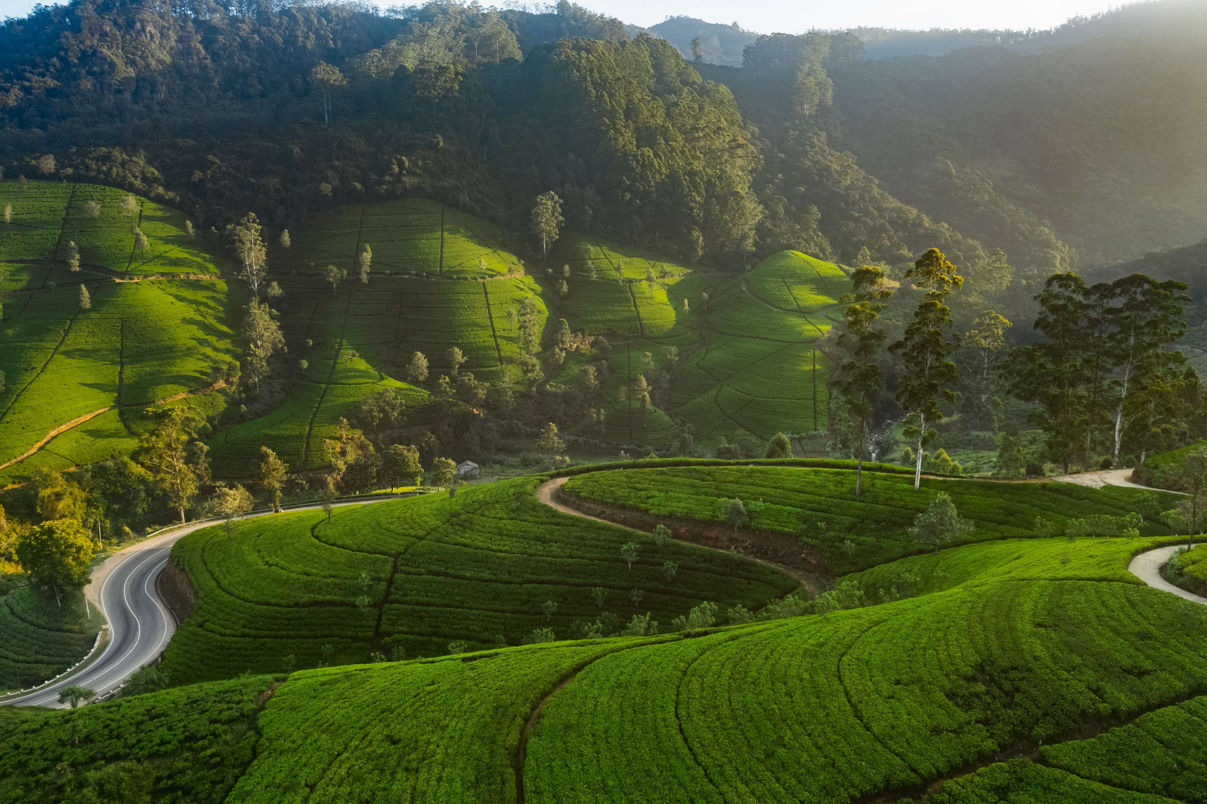 Misty Hills and Adventure Destinations