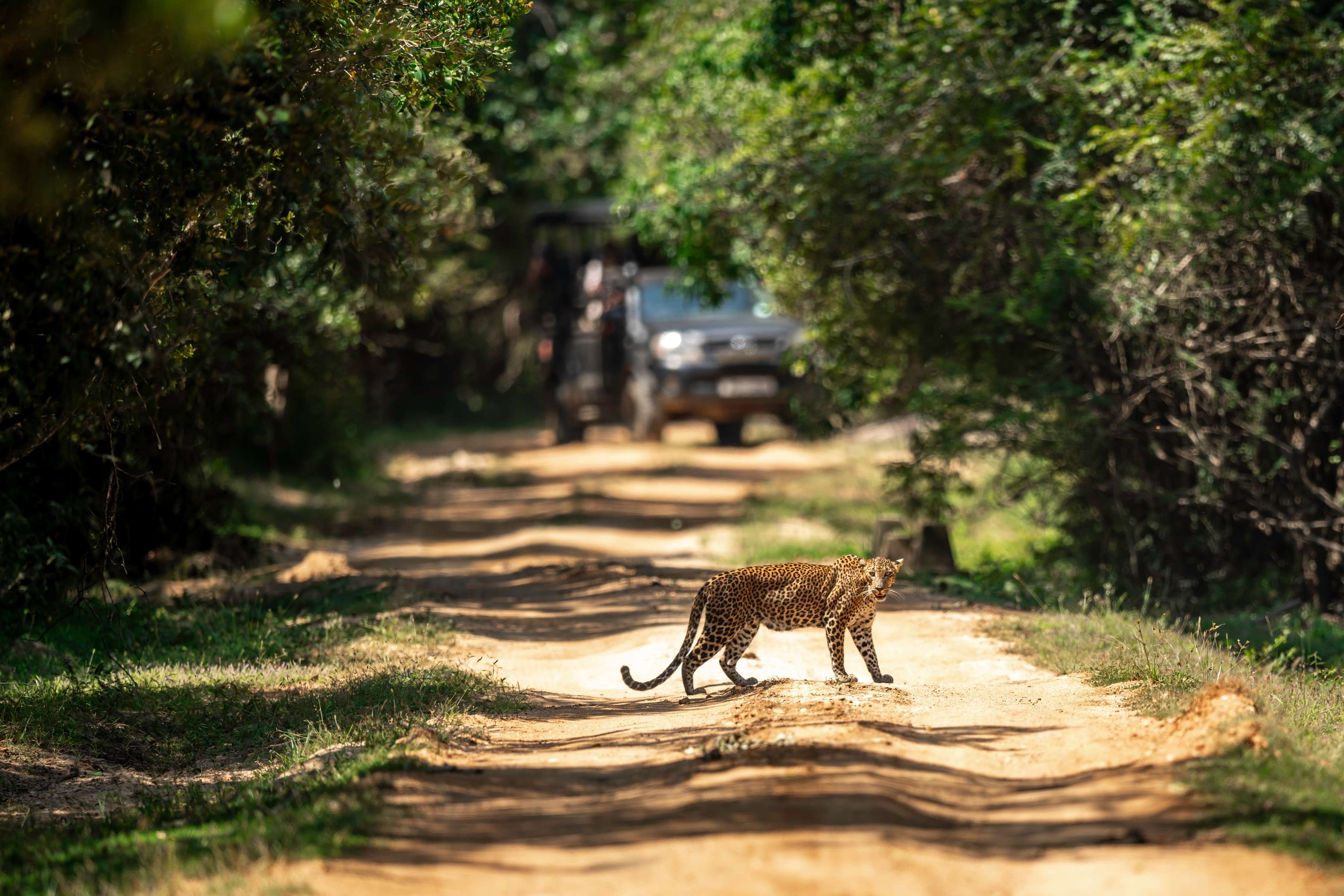 Wildlife Sanctuaries